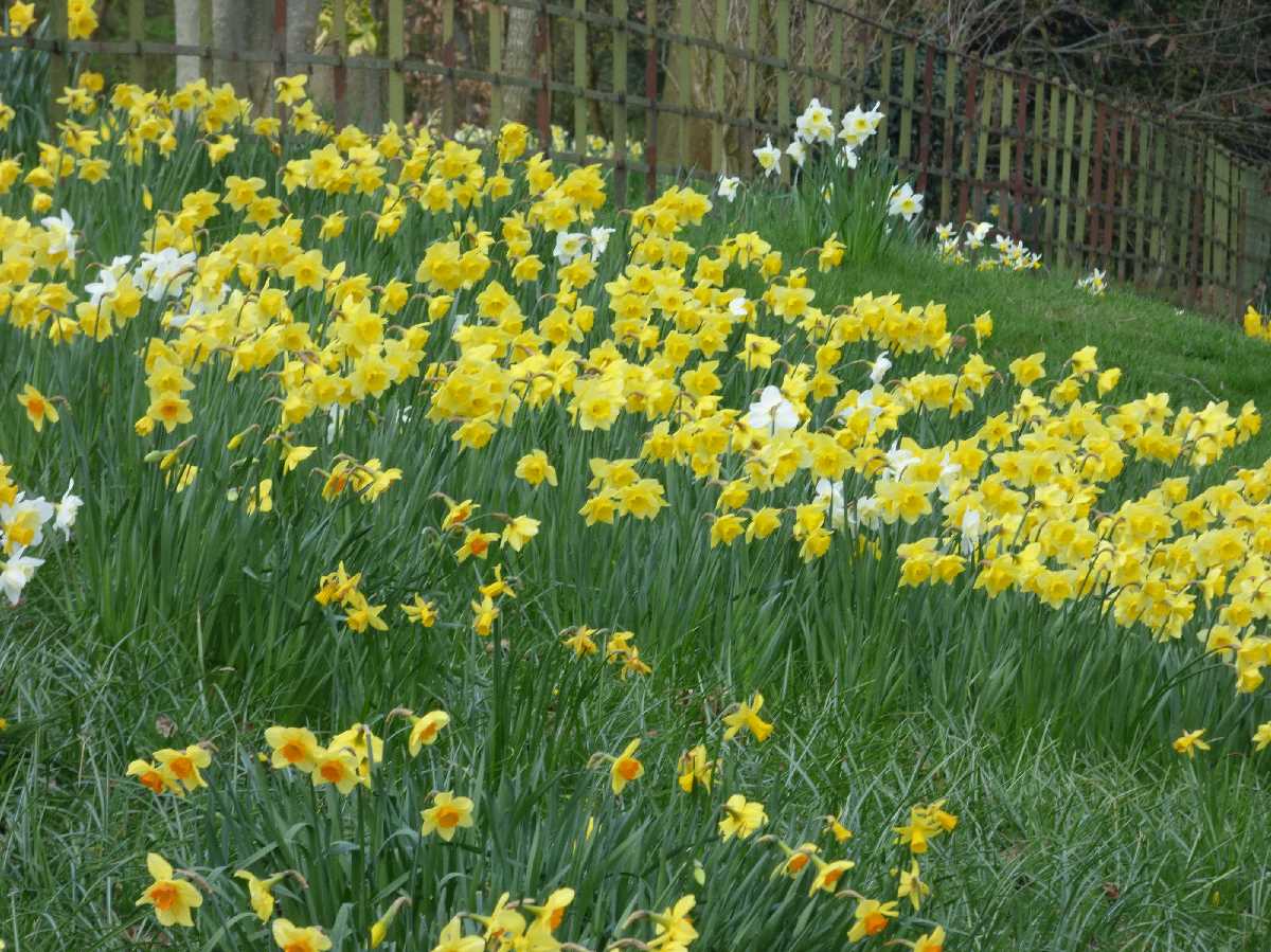 Kings Heath Park (April 2018)